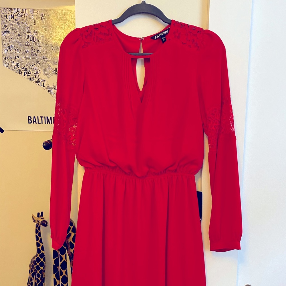 Express Red Chiffon/Lace Dress